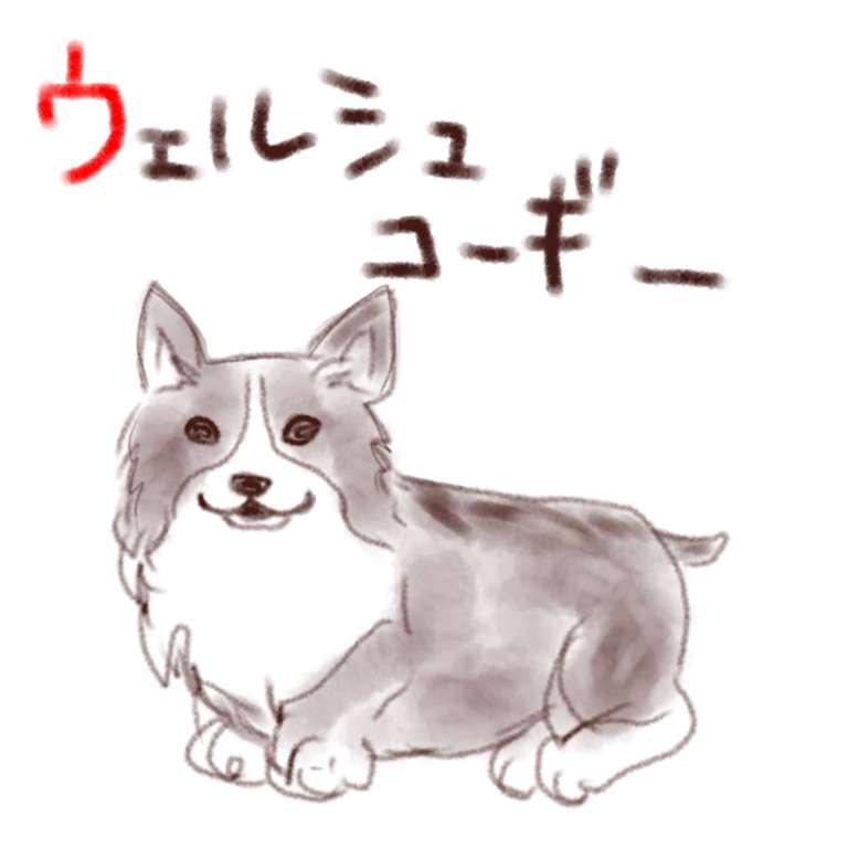 生き物を描こう！