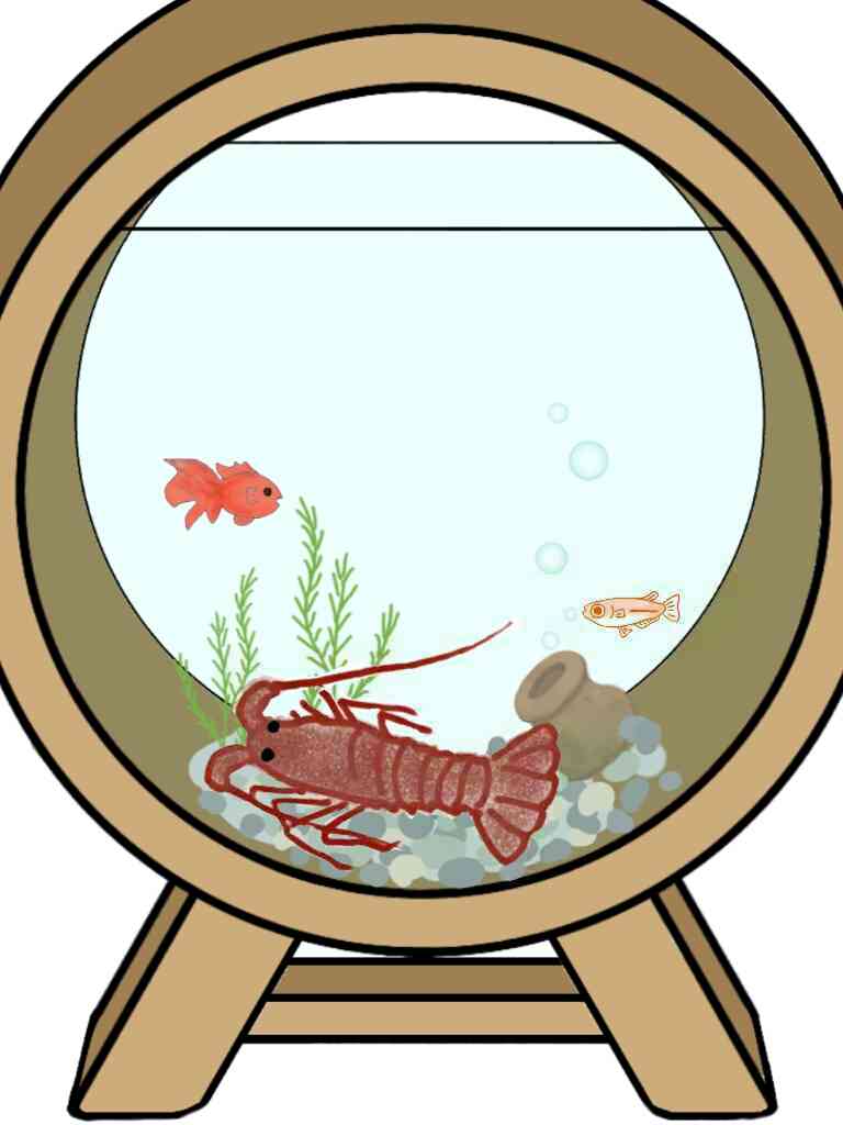 生き物を描こう！