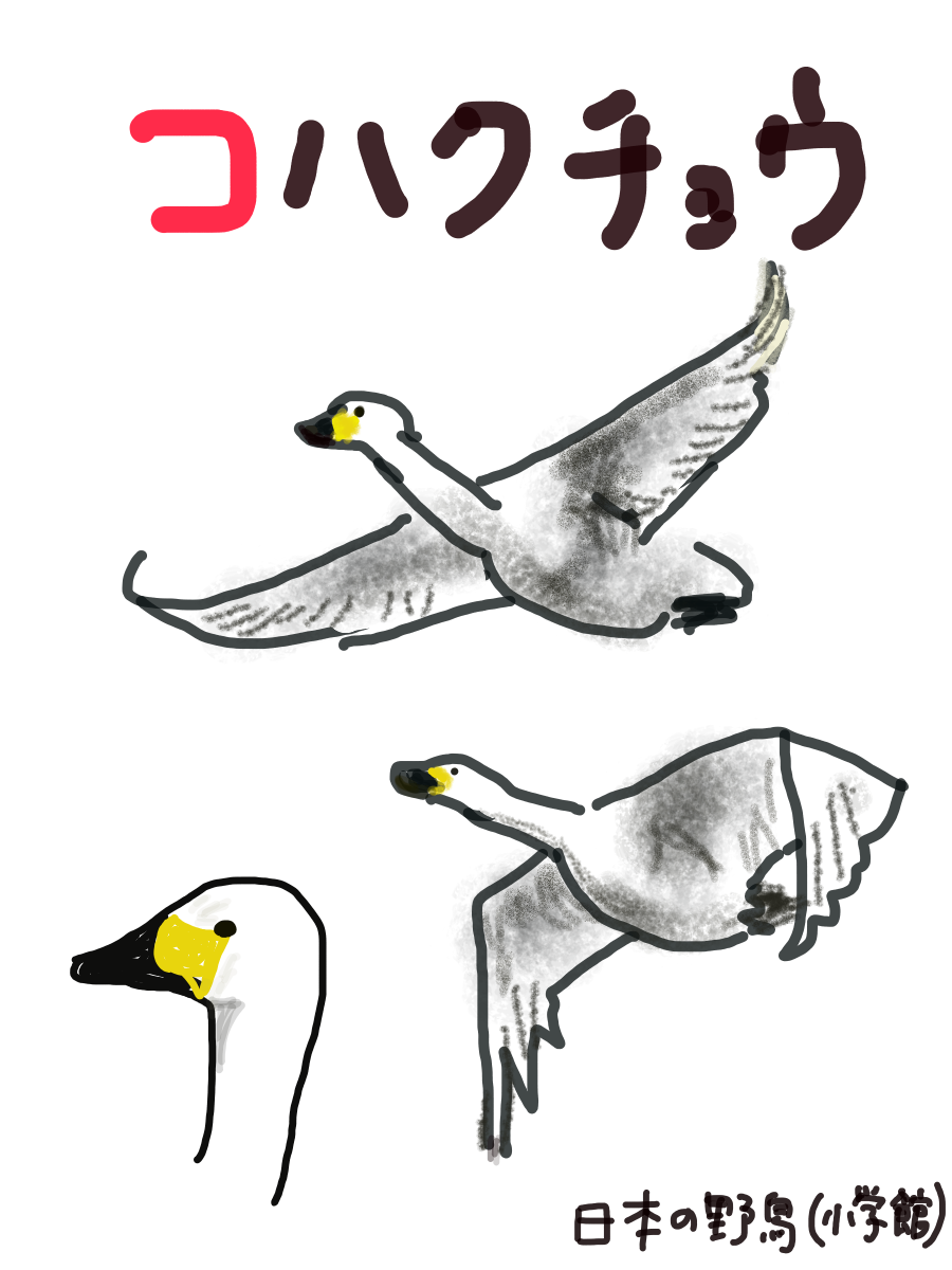 生き物を描こう！