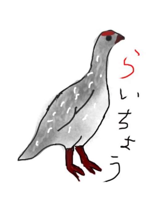 生き物を描こう！
