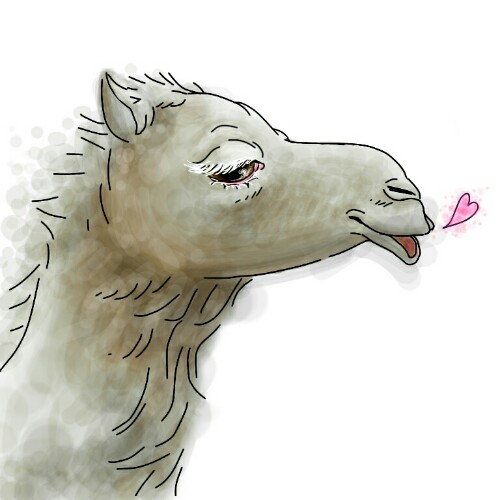 生き物を描こう！