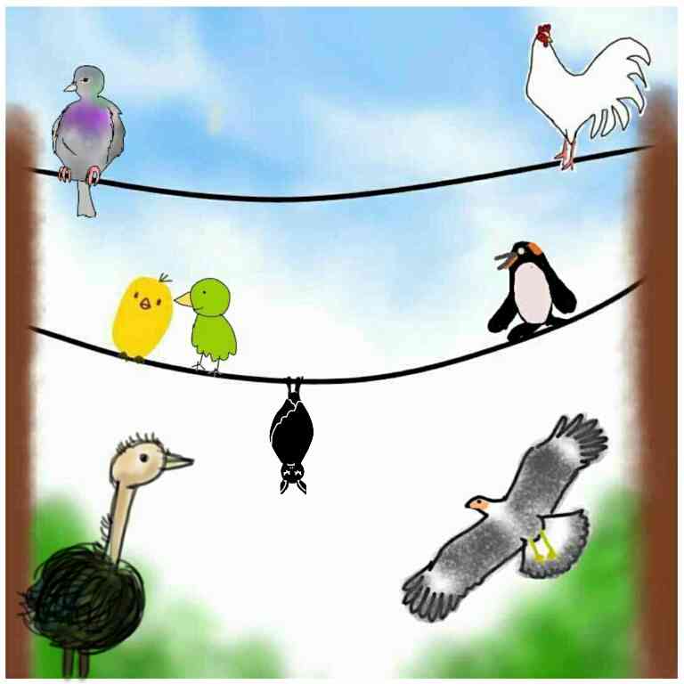 生き物を描こう！