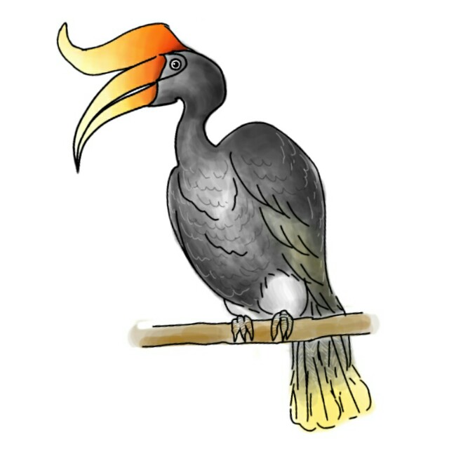 生き物を描こう！