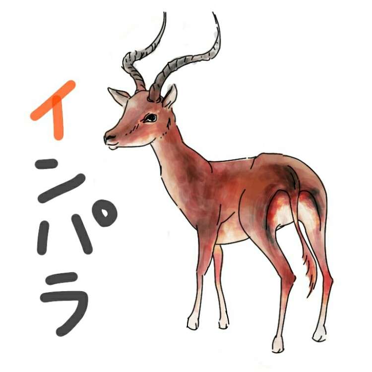生き物を描こう！