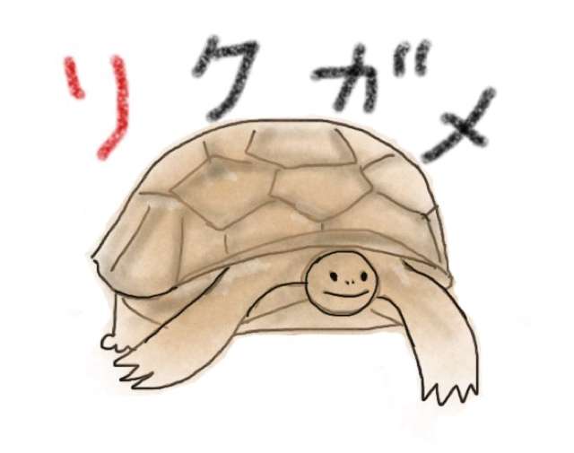 生き物を描こう！