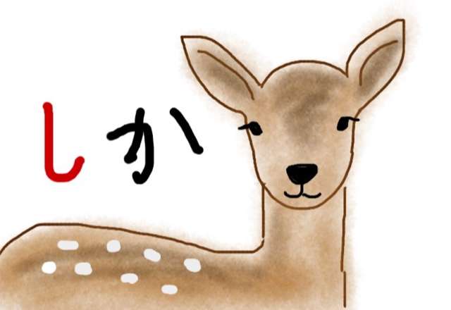 生き物を描こう！
