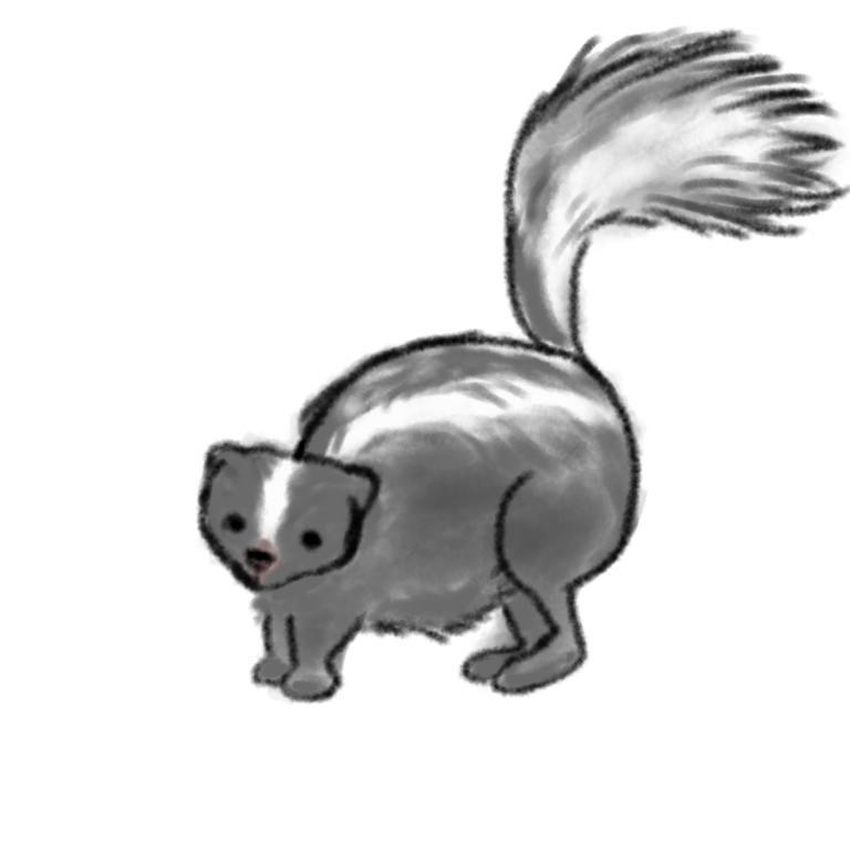 生き物を描こう！