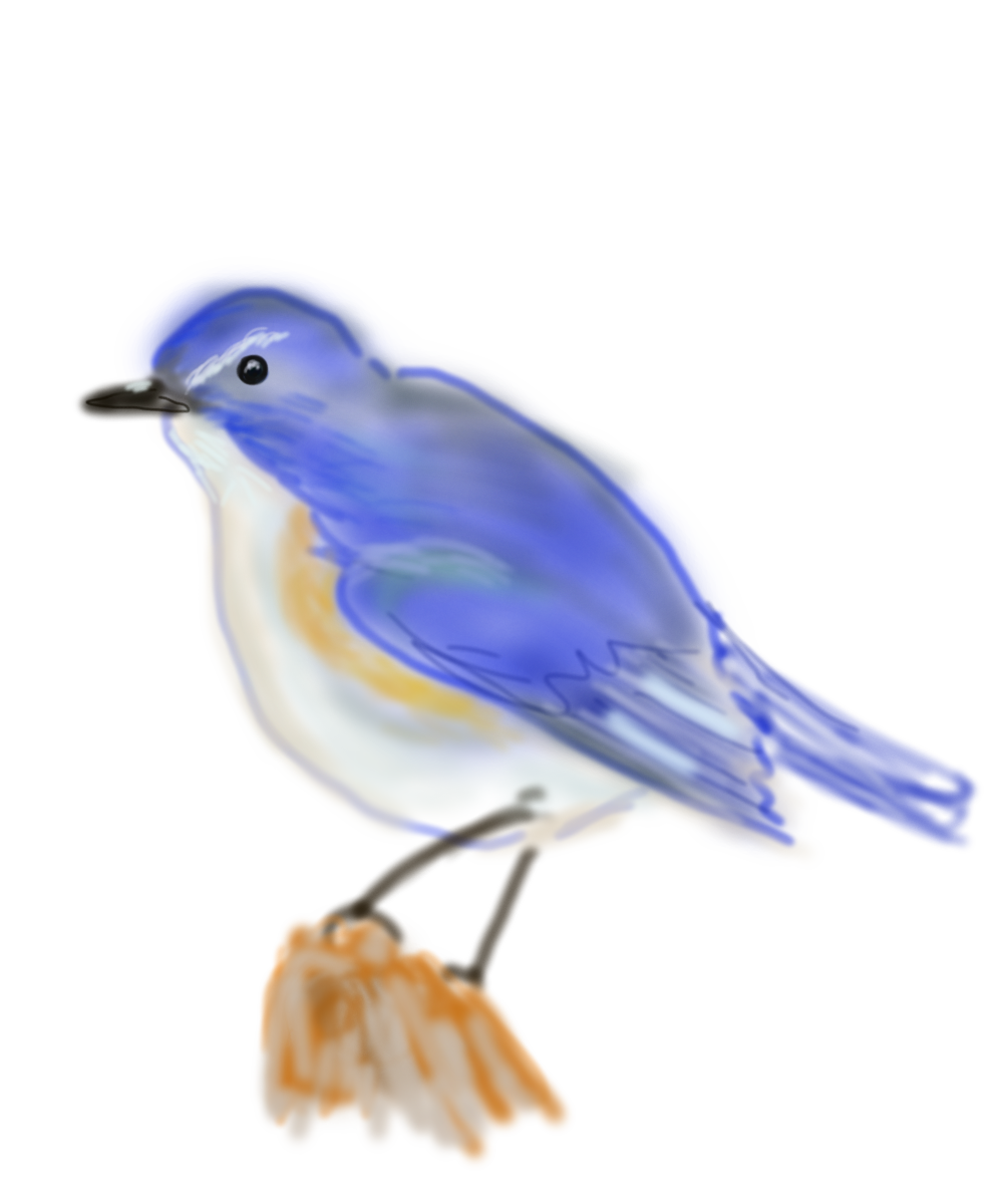 生き物を描こう！