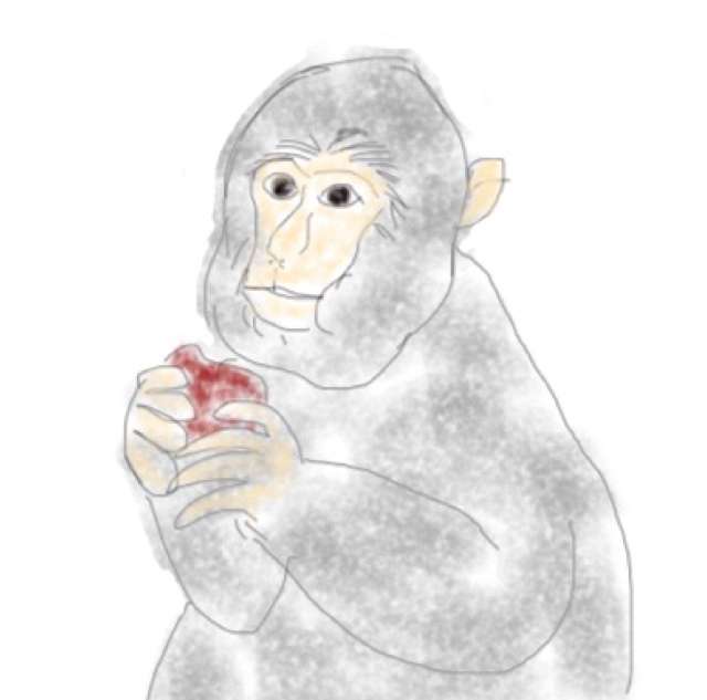 生き物を描こう！