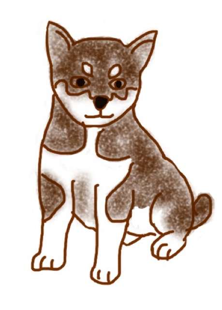生き物を描こう！