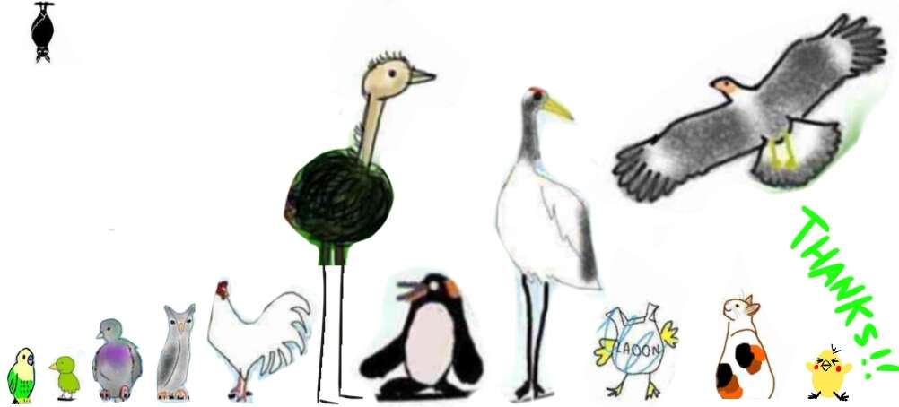 生き物を描こう！