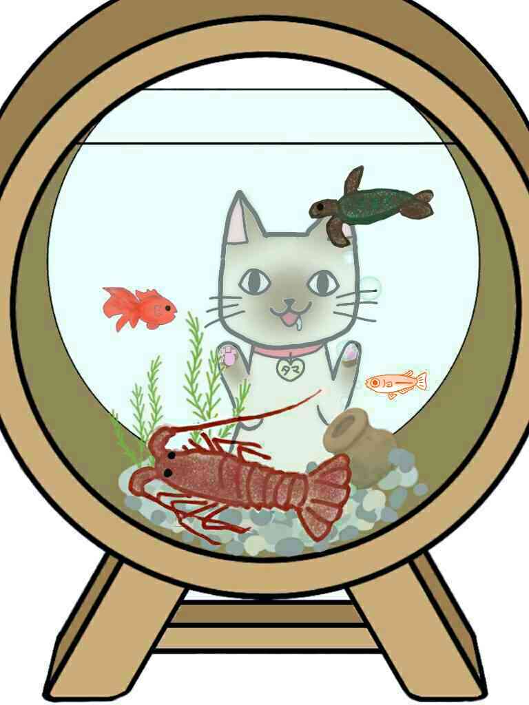 生き物を描こう！