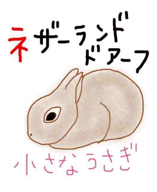 生き物を描こう！