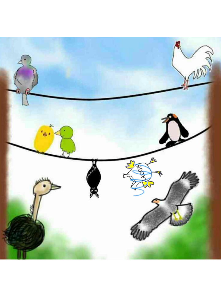 生き物を描こう！