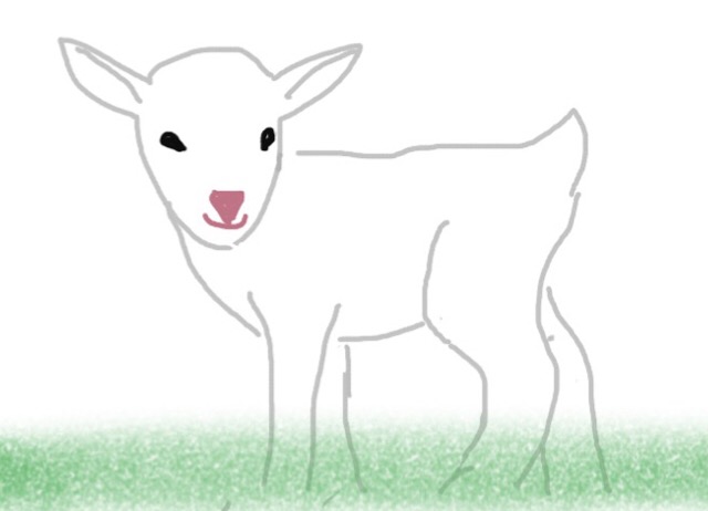 生き物を描こう！