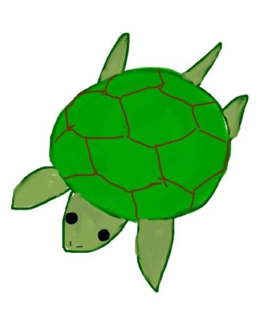 生き物を描こう！
