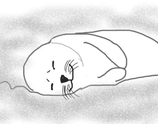 生き物を描こう！