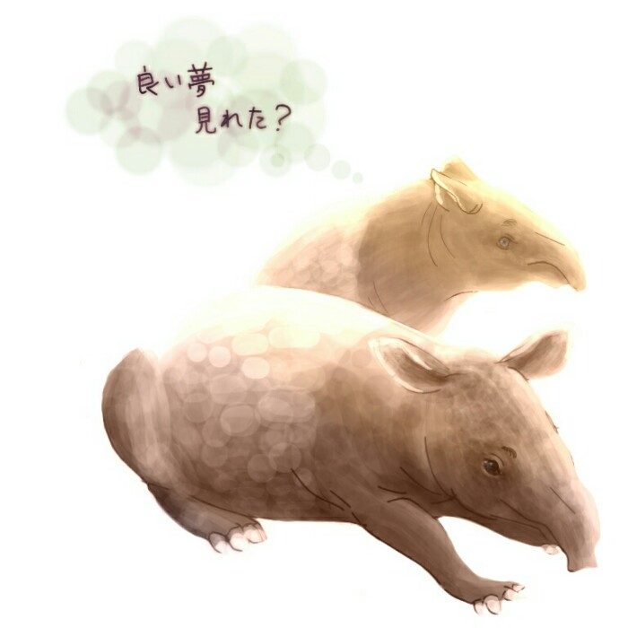 生き物を描こう！