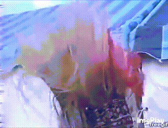hide好きな人集合