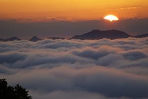 広島県のオススメ教えてください
