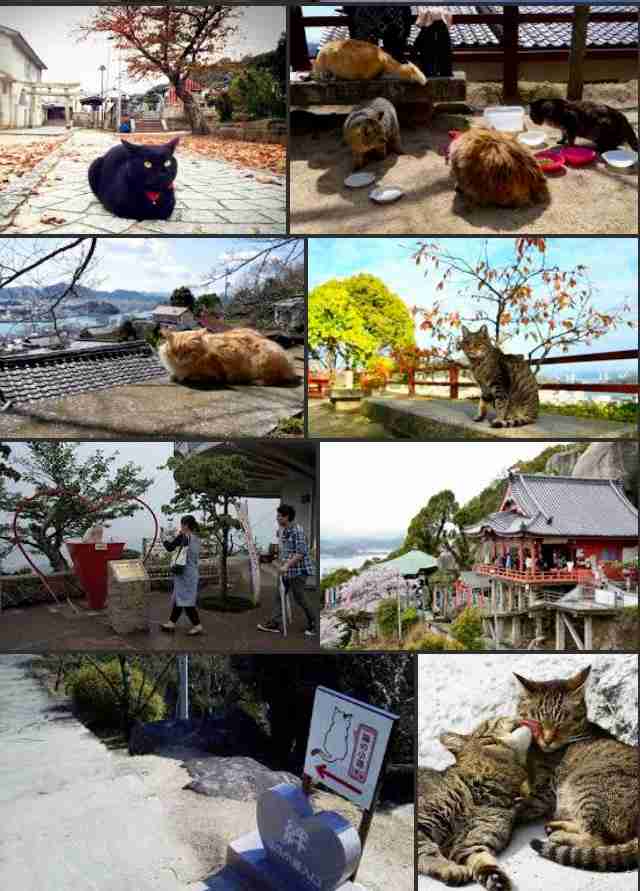 広島県のオススメ教えてください