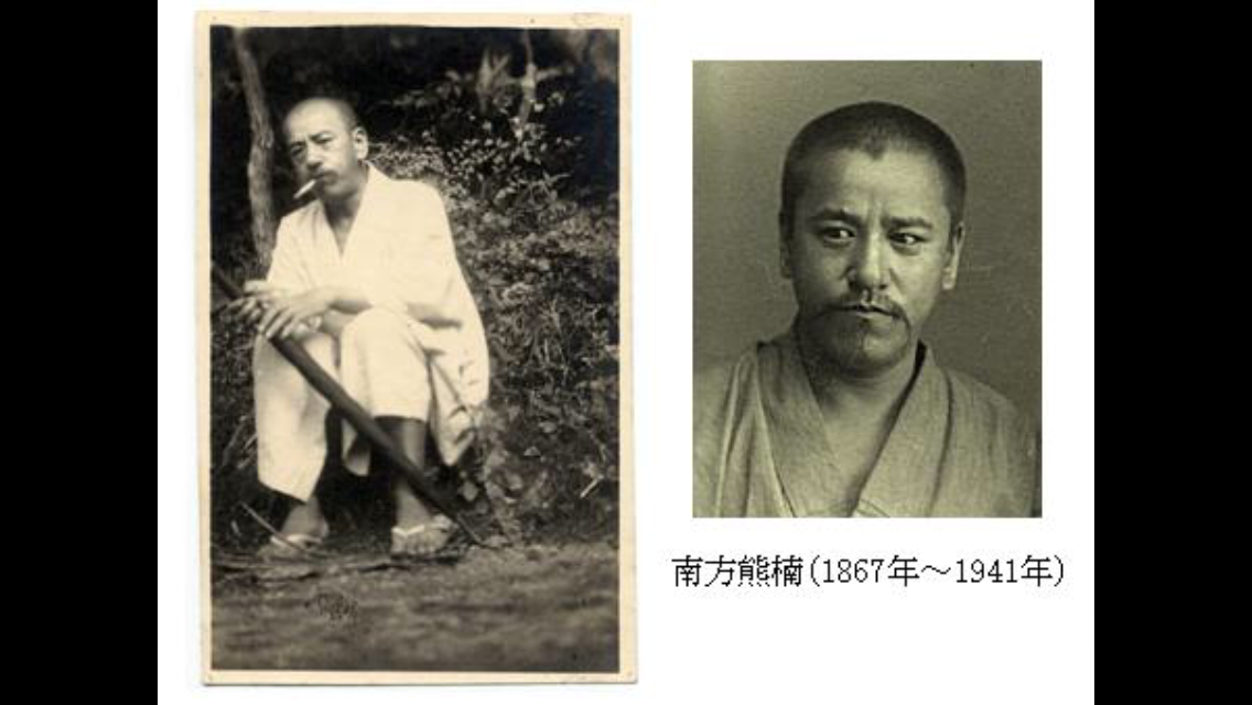 歴史上の人物でタイプの人