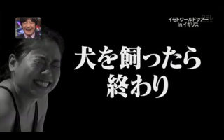 ペットを飼うと婚期を逃す？