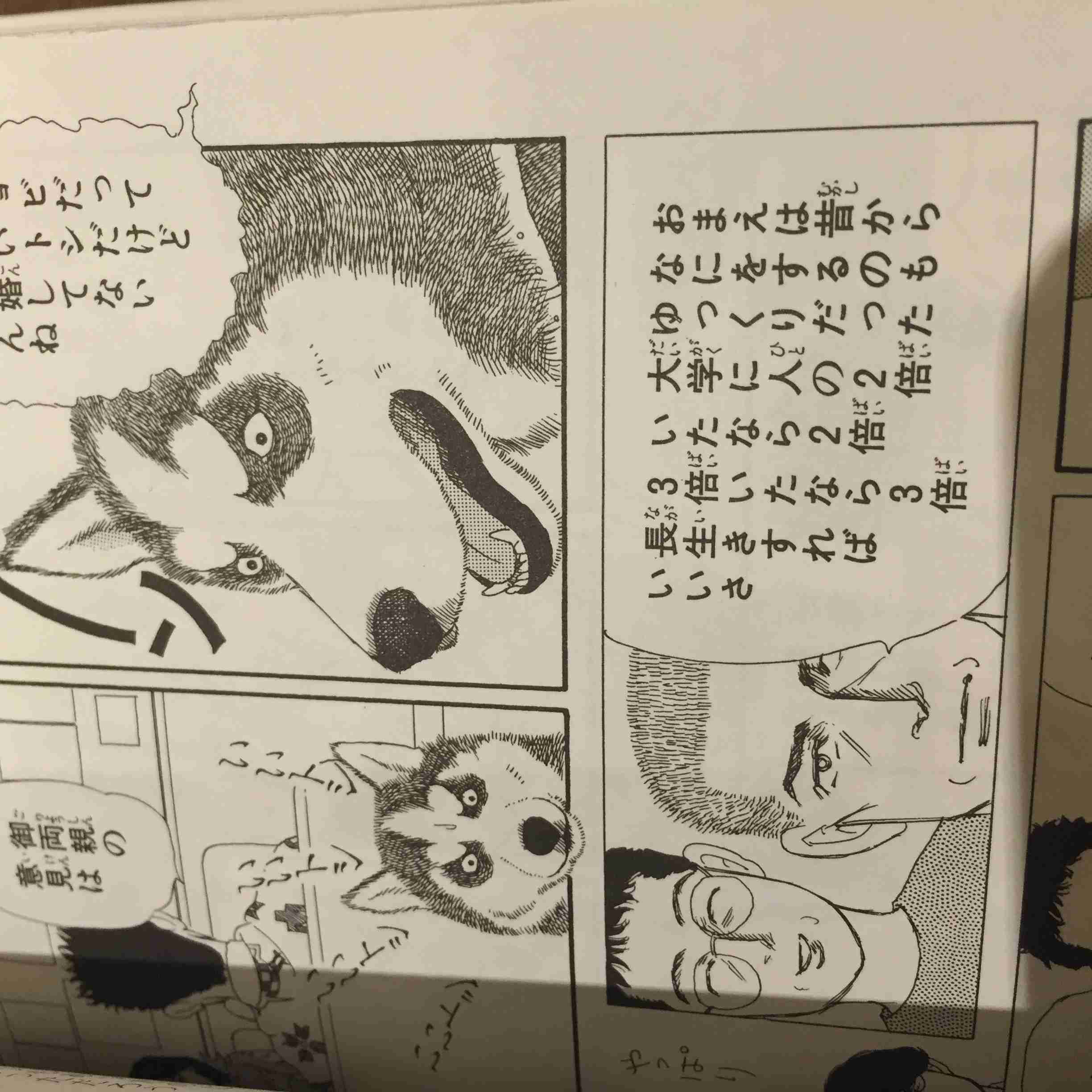 漫画「動物のお医者さん」好きな人