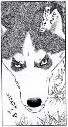 漫画「動物のお医者さん」好きな人