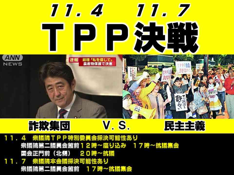 TPP法案、賛成多数で可決　特別委、抗議の中採決強行