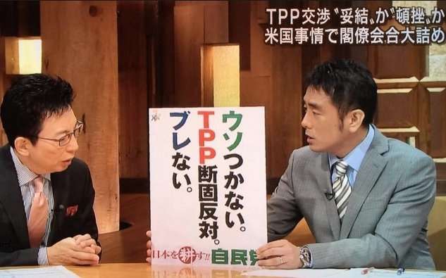 TPP法案、賛成多数で可決　特別委、抗議の中採決強行