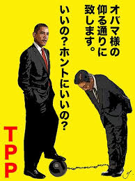 TPP法案、賛成多数で可決　特別委、抗議の中採決強行