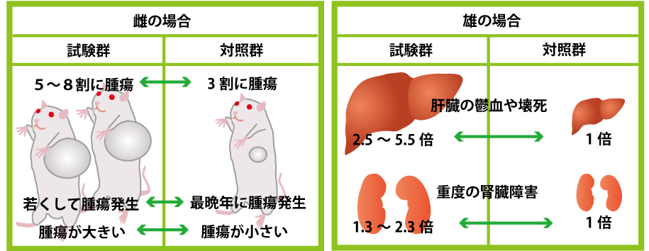 TPP法案、賛成多数で可決　特別委、抗議の中採決強行