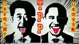 TPP法案、賛成多数で可決　特別委、抗議の中採決強行