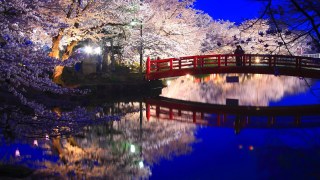 美しい日本語を挙げていくトピ