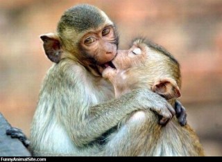 可愛いキスの画像を貼っていくトピ