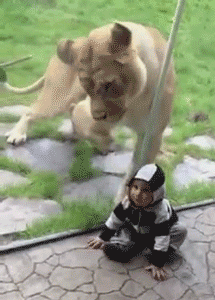 可愛いキスの画像を貼っていくトピ