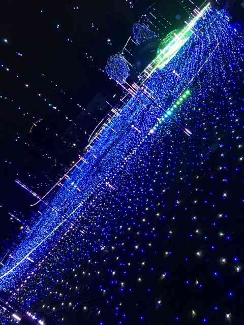 家族でおでかけ