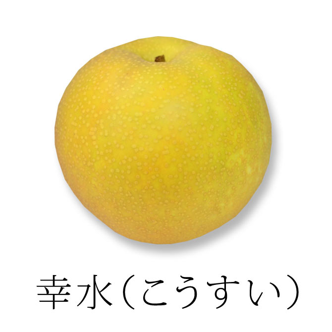 この季節オススメの香水!