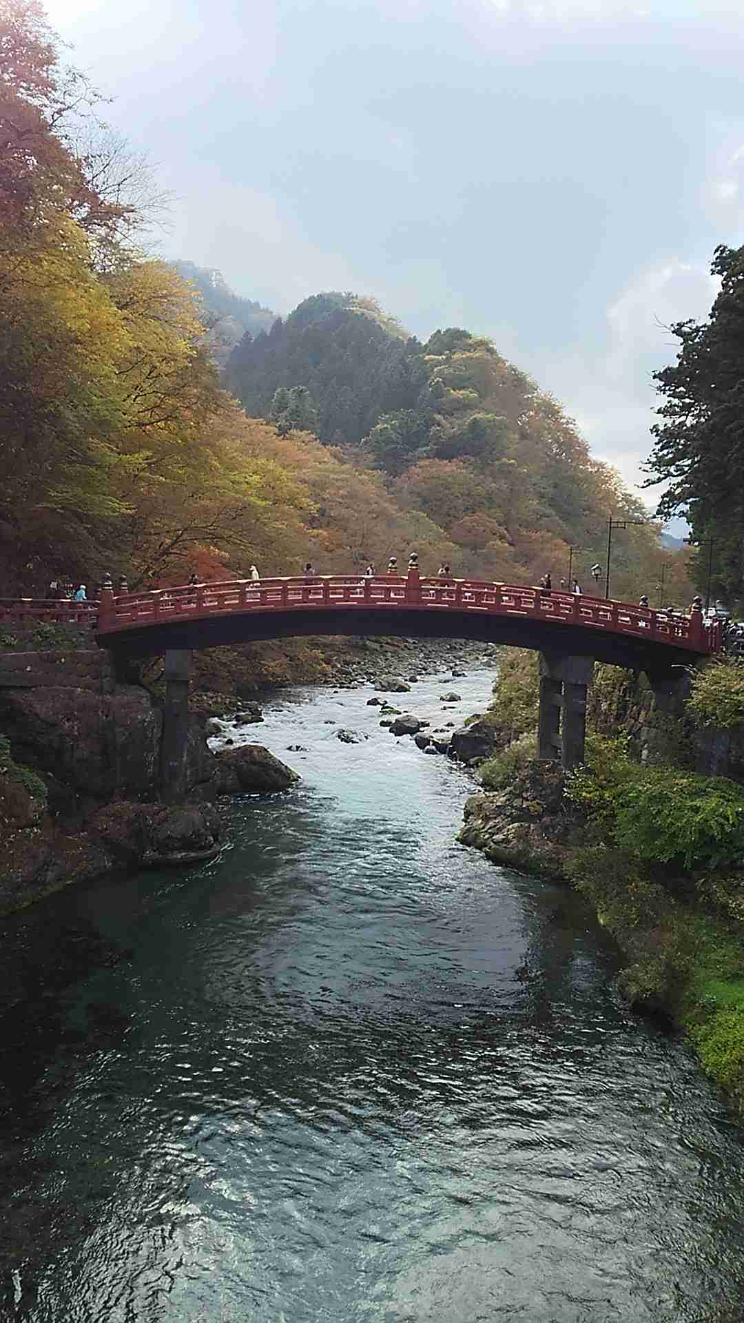 今日の予定は？？