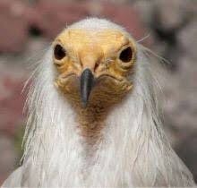 髪型だけで誰か分かったらプラス