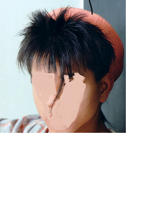 髪型だけで誰か分かったらプラス