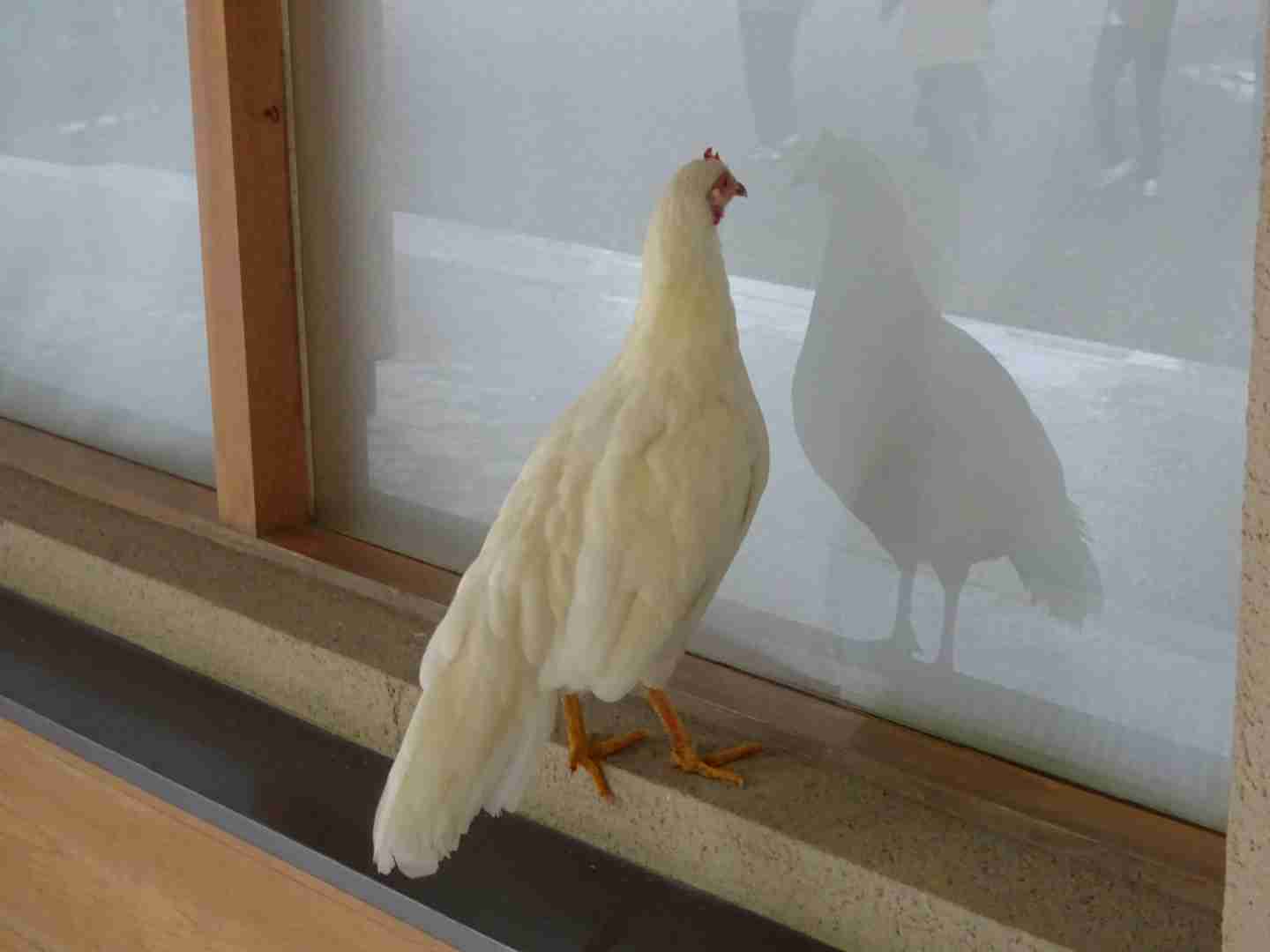 東海地方のオススメの観光スポット