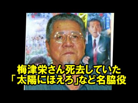 もう一度テレビで見たい亡くなった芸能人
