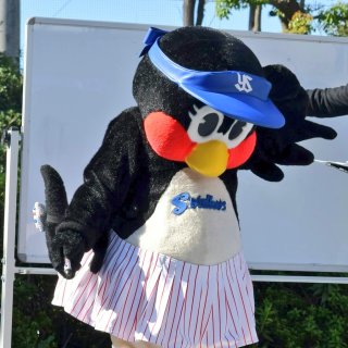 野球のマスコットが好きな方