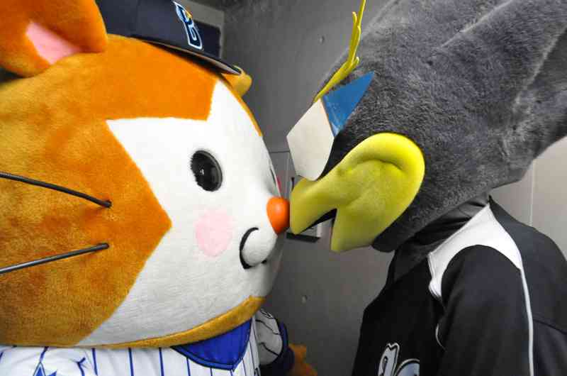 野球のマスコットが好きな方