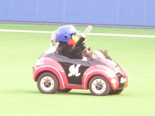 野球のマスコットが好きな方