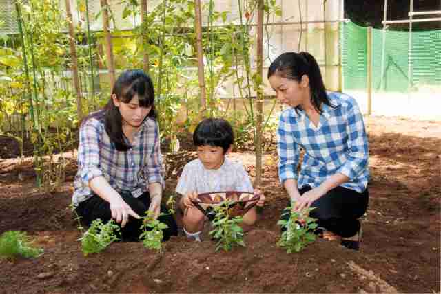 変則登校続く愛子さま、頑なに避けられている昼食時間