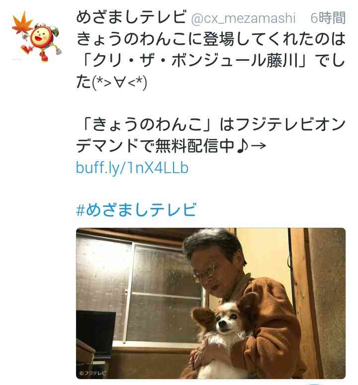「めざましテレビ」見てる方！