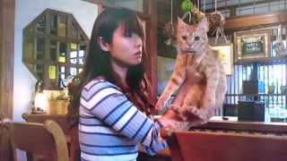 ドラマ【ダメなわたしに恋してください】見ててハマった方！